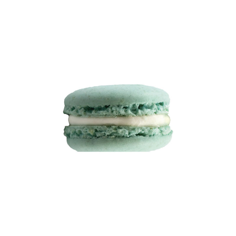 Franck Deville Frozen Icemint Macarons x 35 - gourmet-de-paris-london