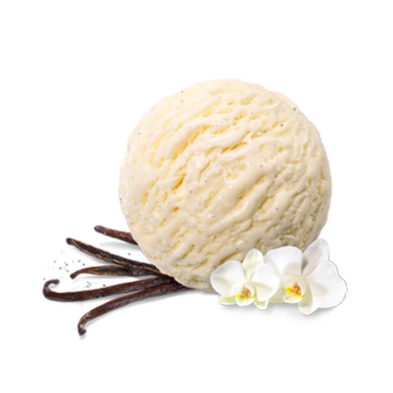 Mövenpick vanilla dream ice cream - 5ltr - gourmet-de-paris-london